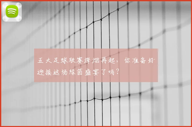 五大足球联赛烽烟再起，你准备好迎接这场绿茵盛宴了吗？